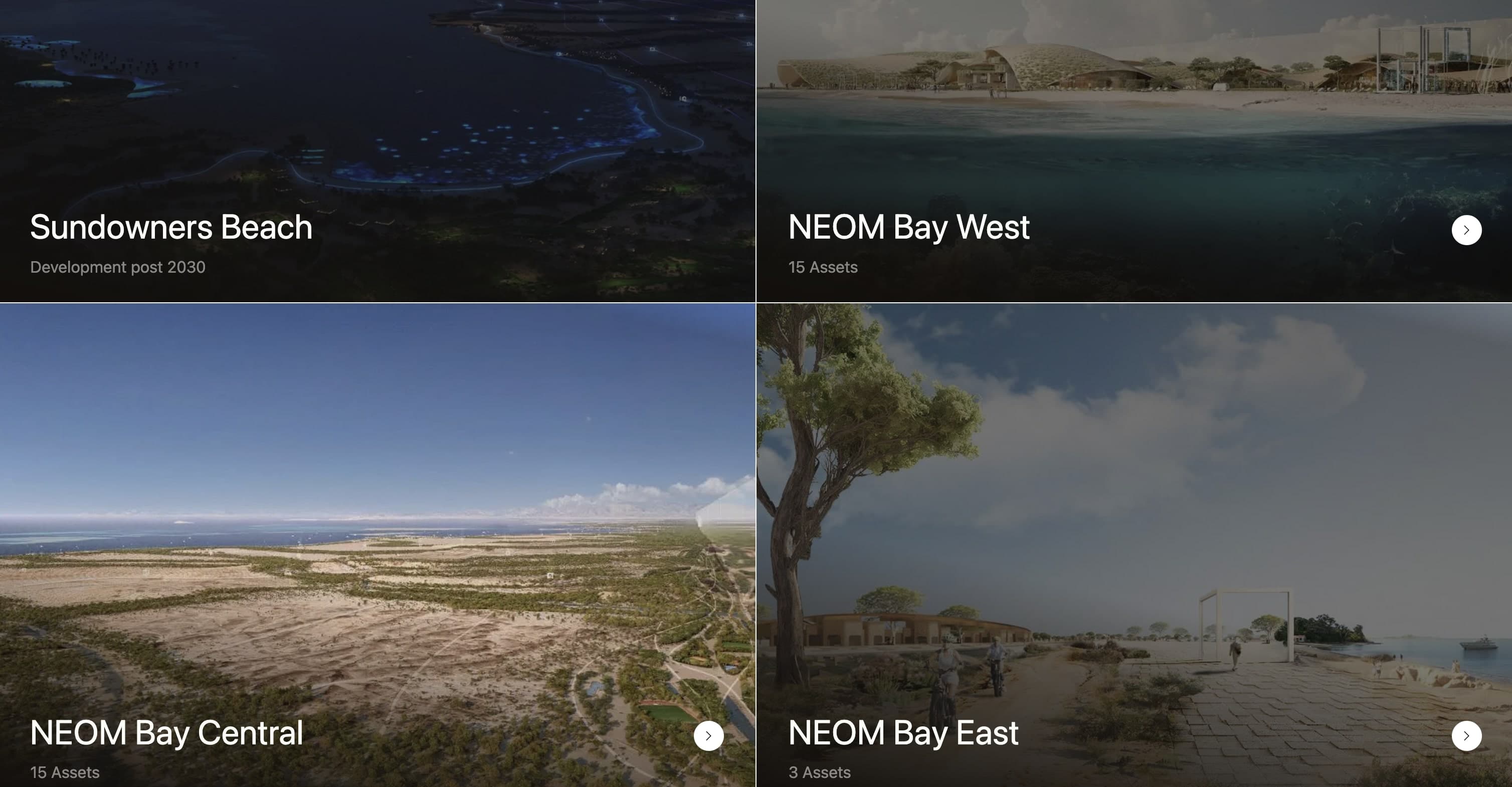 NEOM The Line Portal - Image 5